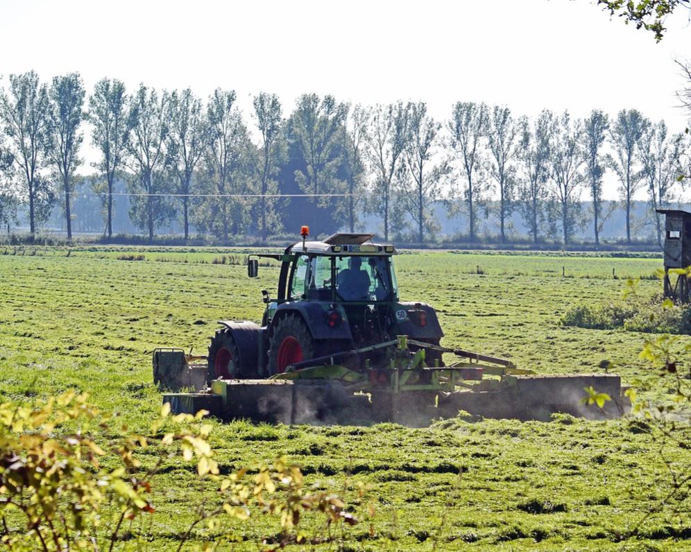 Jak vyjmout pozemek ze zemědělského půdního fondu (ZPF)