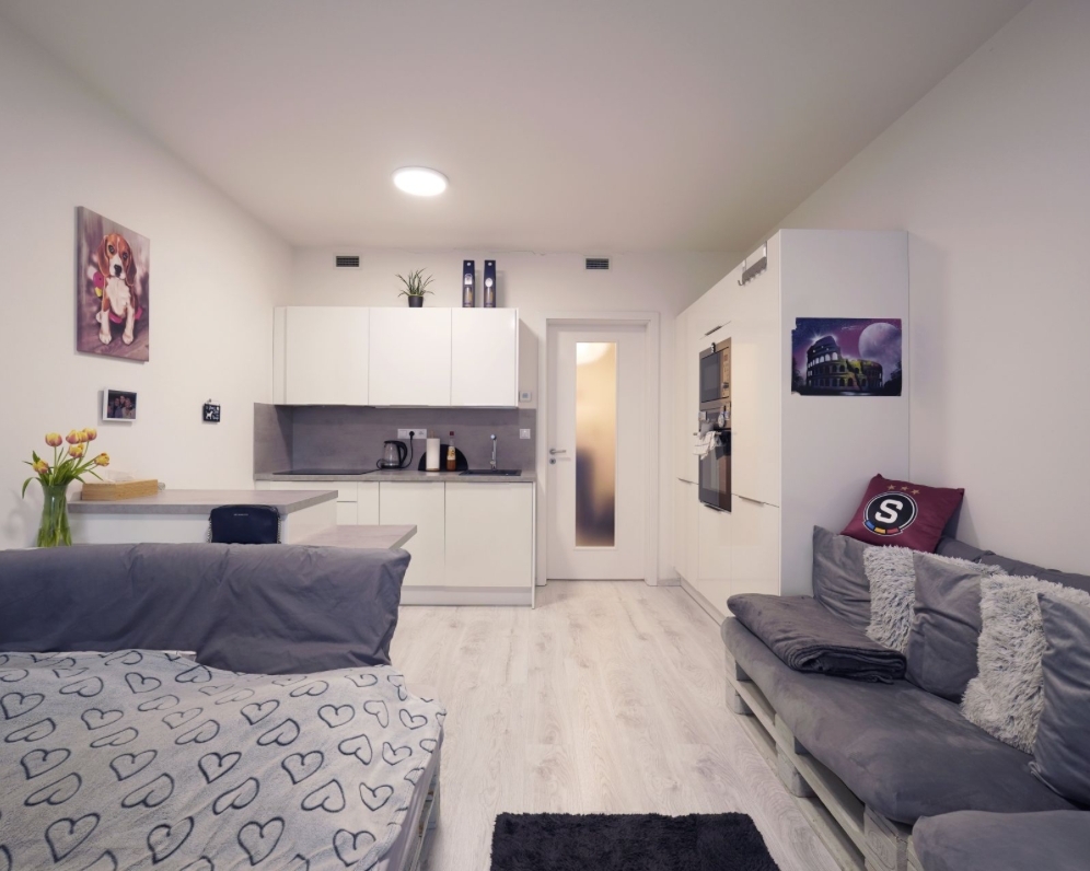 Prodej bytu 1+kk 30 m2 Do zahrádek I, Praha